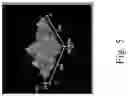 Fig. 13 - Polymer-Collagen Composite Film And Method Of Forming The Same