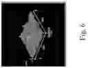 Fig. 14 - Polymer-Collagen Composite Film And Method Of Forming The Same