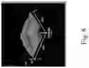 Fig. 16 - Polymer-Collagen Composite Film And Method Of Forming The Same