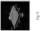 Fig. 17 - Polymer-Collagen Composite Film And Method Of Forming The Same
