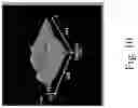 Fig. 18 - Polymer-Collagen Composite Film And Method Of Forming The Same