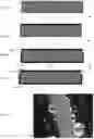 Fig. 05 - Composite materials having a coated edge and methods thereof