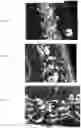 Fig. 06 - Composite materials having a coated edge and methods thereof