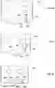 Fig. 10 - Machining system and cutting insert and methods