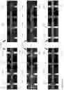 Fig. 13 - METHODS AND PROCESSES FOR CNC TOOL BASED GRATING PROCESSING