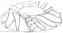 Fig. 01 - Double-row slot plunge milling processing method for integral impellers