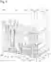 Fig. 06 - Jig for a polishing apparatus