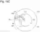 Fig. 19 - Apparatus for polishing and method for polishing