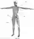 Fig. 02 - Biomimetic humanoid robotic model, control system, and simulation process