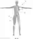 Fig. 03 - Biomimetic humanoid robotic model, control system, and simulation process