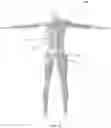 Fig. 04 - Biomimetic humanoid robotic model, control system, and simulation process