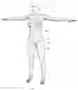 Fig. 15 - Biomimetic humanoid robotic model, control system, and simulation process
