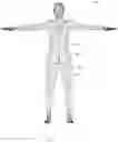 Fig. 17 - Biomimetic humanoid robotic model, control system, and simulation process