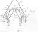 Fig. 05 - ROBOTIC STRUCTURE WITH SIX DEGREES OF FREEDOM ALLOWING GRIPPING