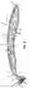 Fig. 03 - SHAVER HANDLE AND METHOD OF MANUFACTURING
