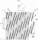 Fig. 02 - PREFORM ELEMENT, PREFORM USING SAME, AND METHOD OF PRODUCING PREFORM