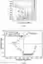 Fig. 20 - Material systems and methods of manufacture for auxetic foams
