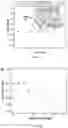 Fig. 22 - Material systems and methods of manufacture for auxetic foams