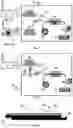 Fig. 02 - Manufacturing of decorative surfaces