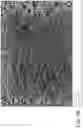 Fig. 10 - Dielectric composite with reinforced elastomer and integrate electrode