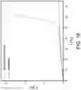 Fig. 19 - Dielectric composite with reinforced elastomer and integrate electrode