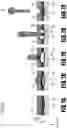 Fig. 08 - Liquid ejection head, liquid ejection apparatus, and liquid ejection module
