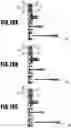 Fig. 20 - Liquid ejection head, liquid ejection apparatus, and liquid ejection module