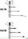 Fig. 22 - Liquid ejection head, liquid ejection apparatus, and liquid ejection module