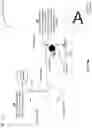 Fig. 02 - Laser assembly for a laser printer