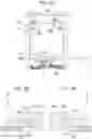 Fig. 07 - Tray and printing apparatus