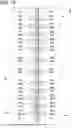 Fig. 10 - Binding tool and file