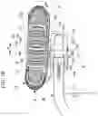 Fig. 11 - Electromobility vehicle