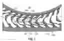 Fig. 06 - Reinforced rubber spoke for a tire