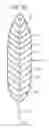Fig. 25 - Electric or hybrid vehicle with wireless device and method of supplying electromagnetic energy to vehicle