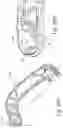 Fig. 25 - POLYMERIC TRAY TABLE ARM AND METHODS OF MAKING THE SAME