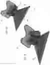 Fig. 07 - Vehicular forward viewing camera