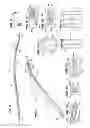 Fig. 04 - Wiper blade with cover