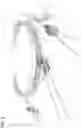 Fig. 04 - Cable transportation system