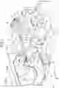 Fig. 02 - Body structure of automobile