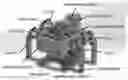Fig. 01 - Miniature walking robot with soft joints and links