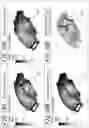 Fig. 13 - Analysis method and apparatus of optimizing joint location of automotive body