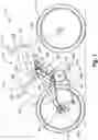 Fig. 02 - REAR SUSPENSION SYSTEM FOR A BICYCLE