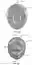 Fig. 10 - Multiple accessory storage device