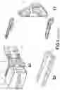 Fig. 02 - FITTING FOR ATTACHING THE HORIZONTAL TAIL STABILIZER OF AN AIRCRAFT