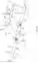 Fig. 19 - Combination flight and ground apparatus for a vehicle