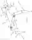 Fig. 20 - Combination flight and ground apparatus for a vehicle