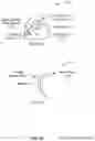 Fig. 11 - Bistable pitch propeller system with unidirectional propeller rotation