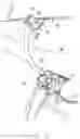Fig. 04 - Hovering aircraft belly bar clasp