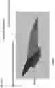 Fig. 06 - REDUCED DRAG WINGSUIT