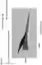 Fig. 09 - REDUCED DRAG WINGSUIT